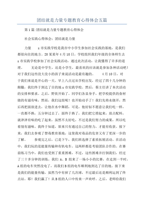 团结就是力量专题教育心得体会五篇