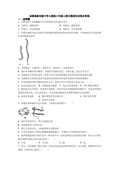 成都高新实验中学人教版八年级上册生物期末试卷及答案