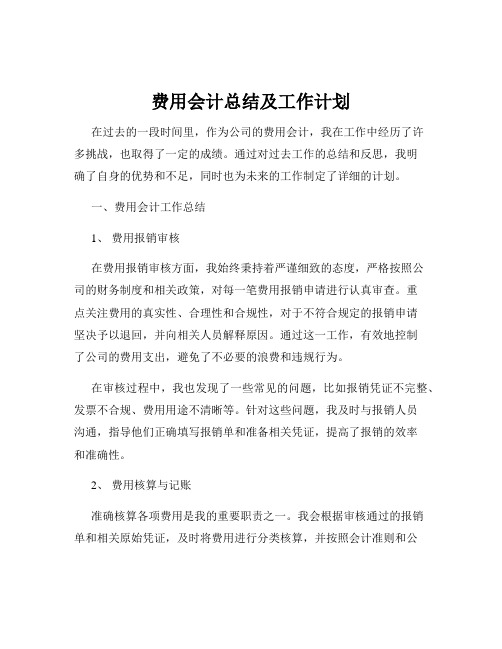 费用会计总结及工作计划