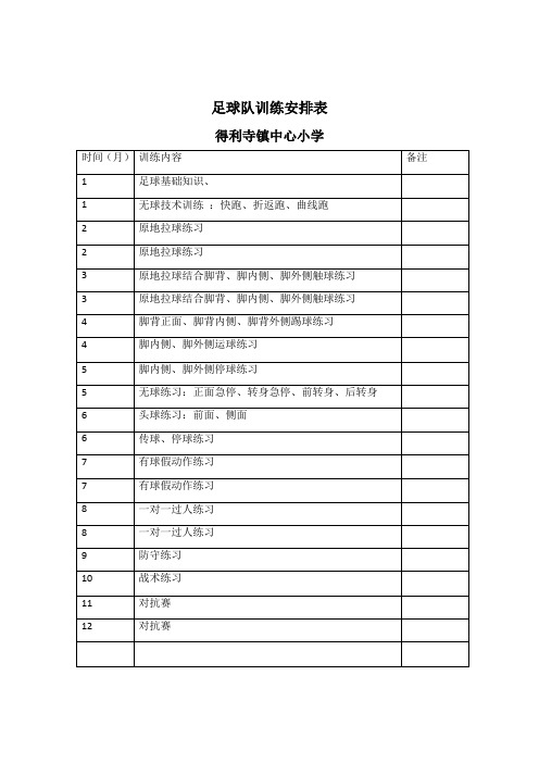 足球队年度训练计划