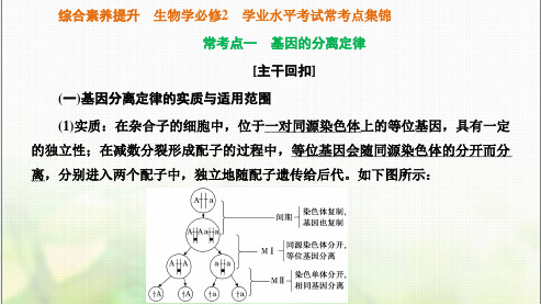 人教版高中生物必修2学业水平考试常考点课件