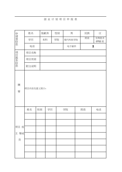 创业计划项目申报表