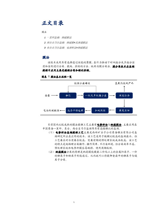 盐湖提锂技术之膜法工艺特点分析