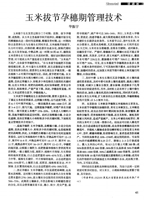 玉米拔节孕穗期管理技术