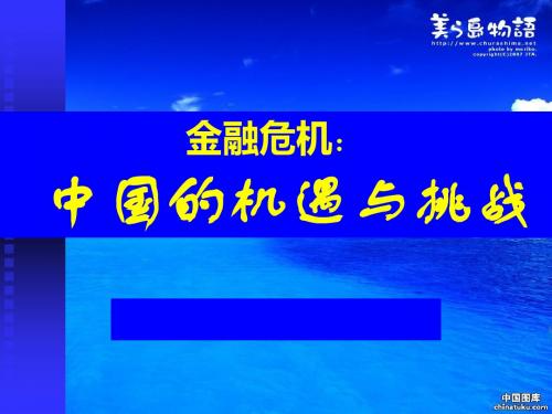 金融危机中国的机遇与挑战-PPT课件