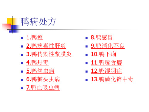 最新鸭病处方