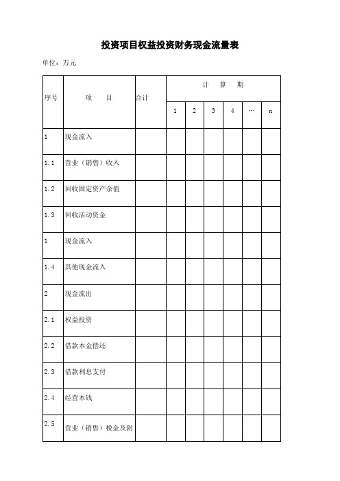 投资项目权益投资财务现金流量表