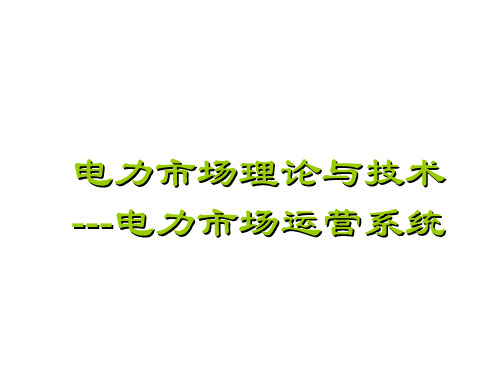 电力市场理论与技术-电力市场运营系统