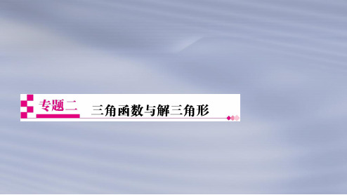 2019年高考数学(文科)二轮复习专题透析2三角函数与解三角形