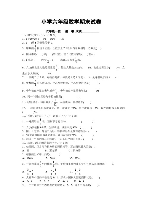 苏教版六年级第十一册期末试卷1