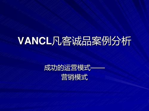 VANCL凡客诚品成功案例分析