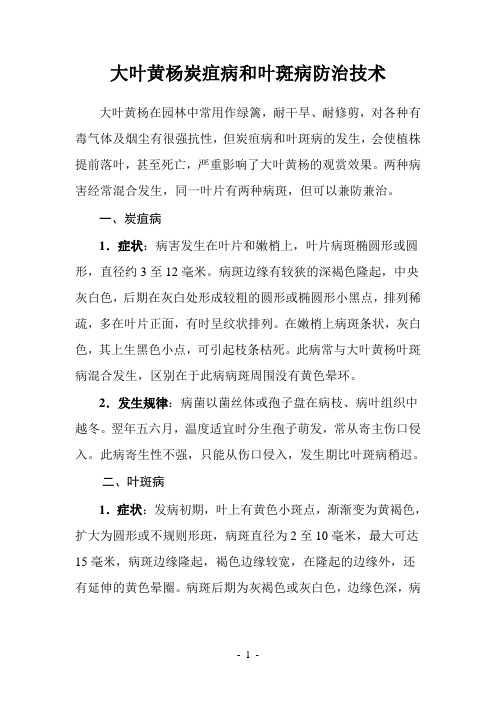 [农业]大叶黄杨炭疽病和叶斑病防治技术