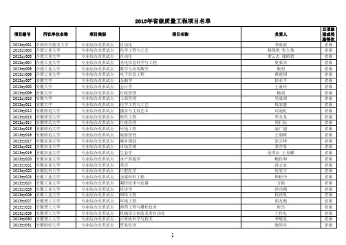 2013安徽省级质量工程立项