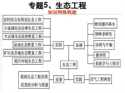 高中生物选修三专题五 生态工程复习课件