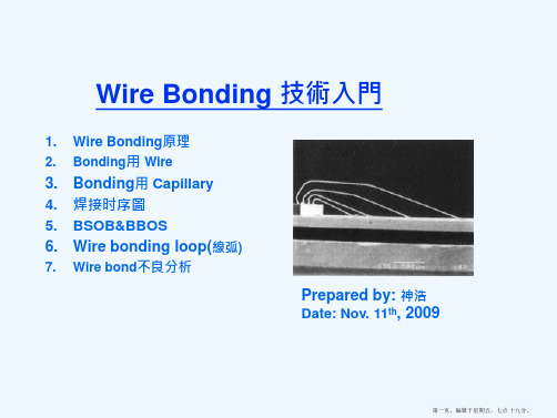 Wire Bonding技术入门 20091113