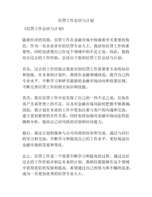 信贷工作总结与计划