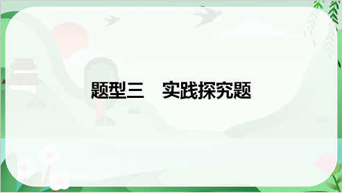 2025年道德与法治中考总复习题型三实践探究题