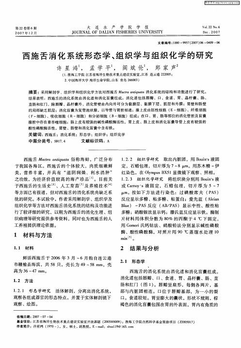 西施舌消化系统形态学、组织学与组织化学的研究