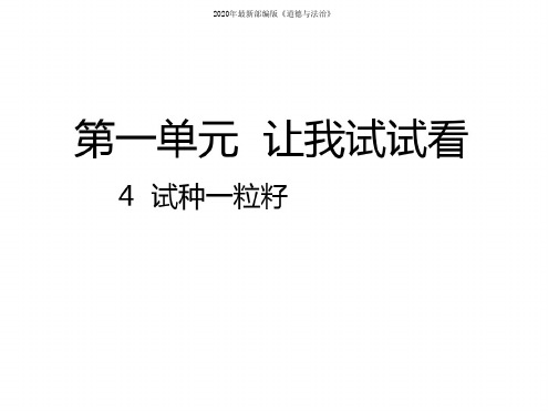 部编本二年级道德与法治下册4试种一粒籽课件PPT公开课教学课件