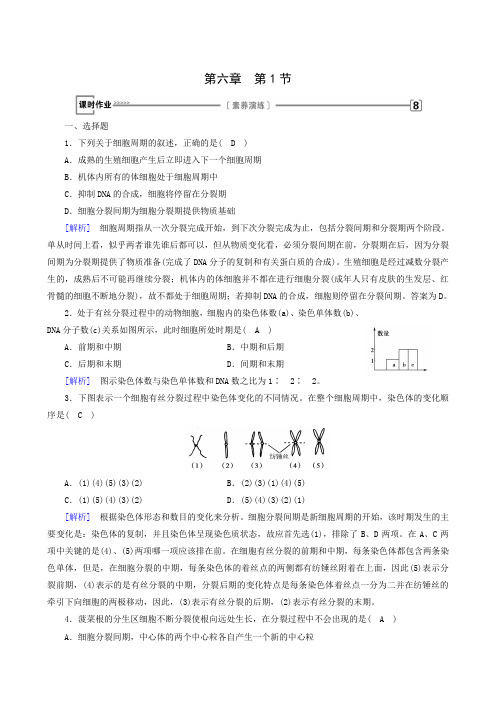 人教版生物必修一同步检测第6章 第生物1节 细胞的增殖