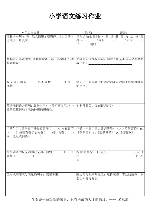 小学六年级语文拓展训练 (65)