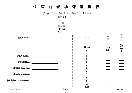 供应商现场评审报告