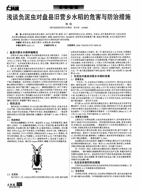 浅谈负泥虫对盘县旧营乡水稻的危害与防治措施