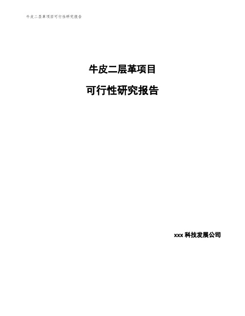 牛皮二层革项目可行性研究报告