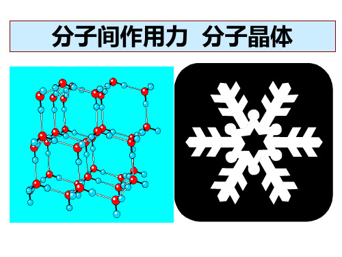 分子间的作用力  分子晶体