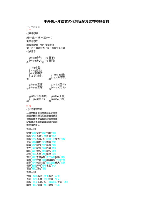 小升初六年语文强化训练多套试卷模拟资料3676