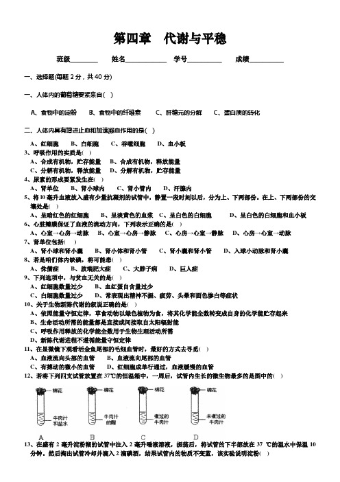 浙教版九年级科学上册单元测试第四章