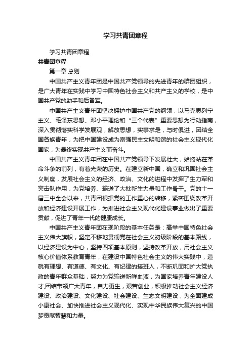 学习共青团章程