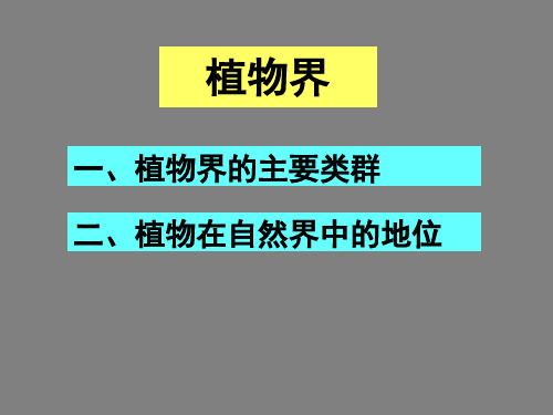 13.4 植物界 课件(北京课改版八年级下) (共46张PPT)