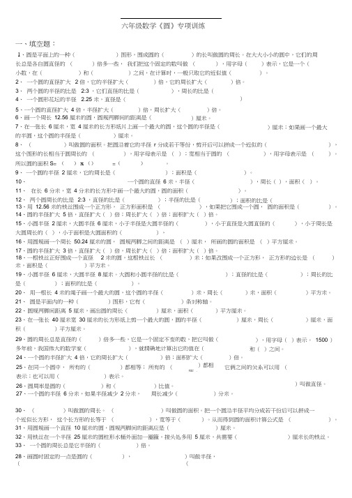 (完整)新人教版小学六年级《圆》专项练习