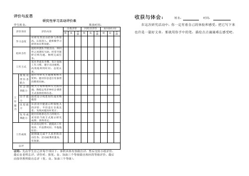 评价与反思表