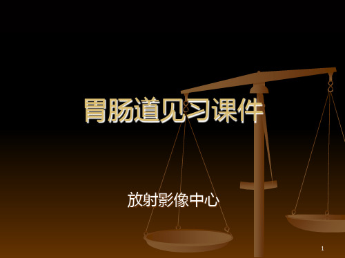 医学影像学胃肠道实习PPT课件