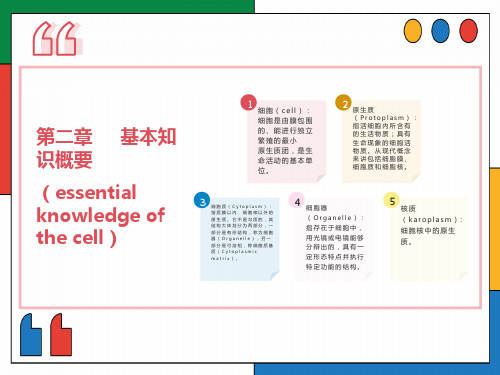 细胞基本知识