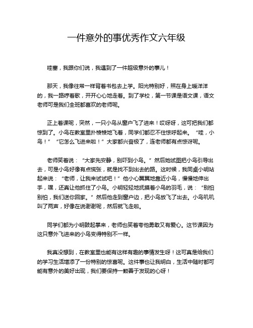 一件意外的事优秀作文六年级