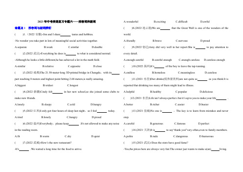 2023年中考英语复习专题六——形容词和副词(含答案)
