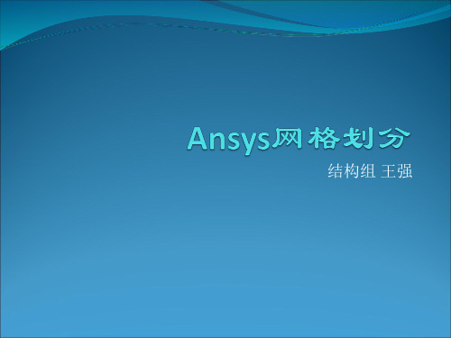 ansys workbench网格划分解析