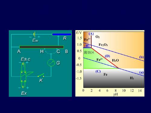 第九章 可逆电池电动势及其应用