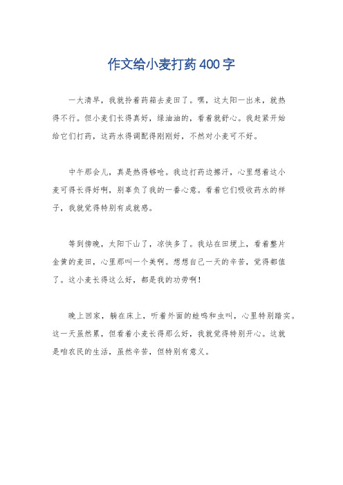 作文给小麦打药400字