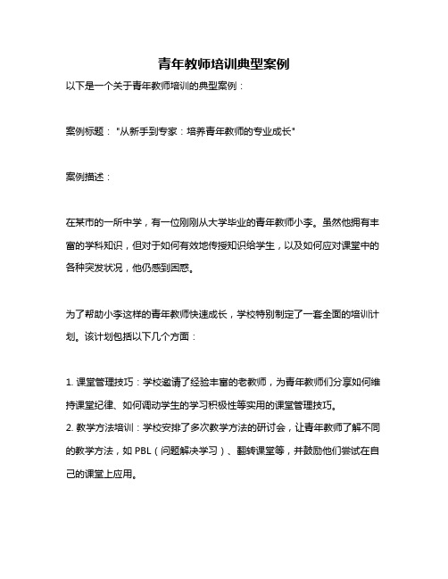 青年教师培训典型案例