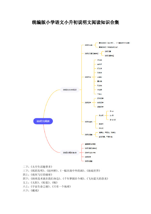 小升初说明文阅读知识-2023-2024学年语文六年级下册统编版