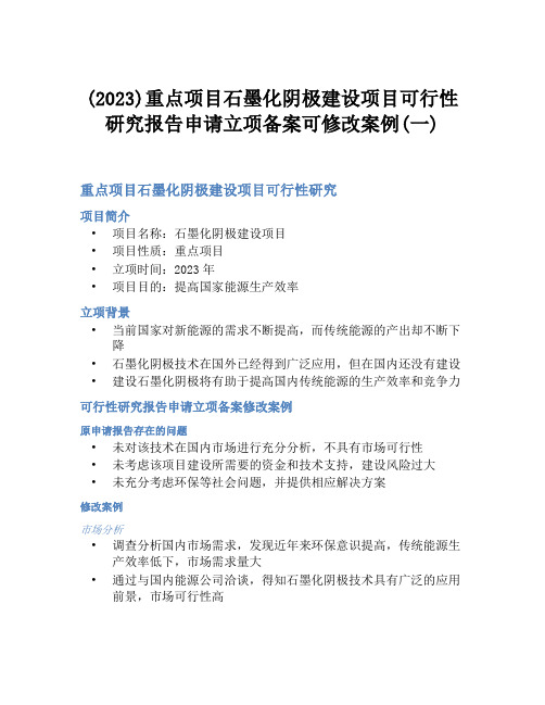 (2023)重点项目石墨化阴极建设项目可行性研究报告申请立项备案可修改案例(一)