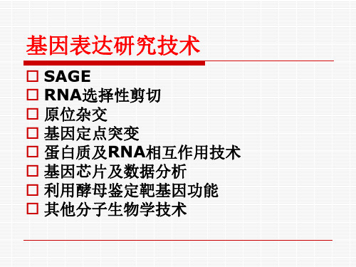 基因表达研究技术