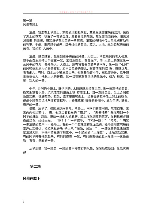 山东聊城中考满分作文三篇风景在路上 (2)