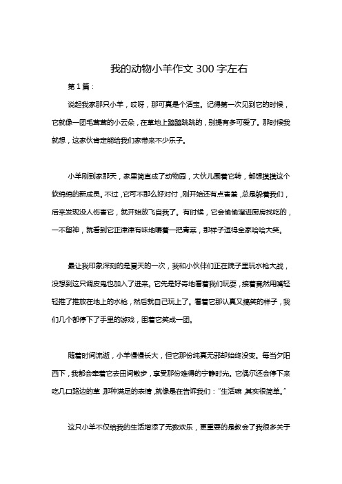 我的动物小羊作文300字左右