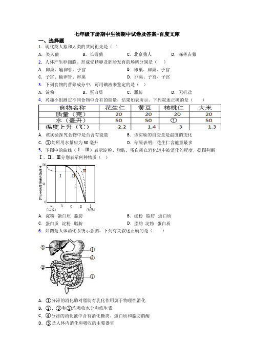 七年级下册期中生物期中试卷及答案-百度文库