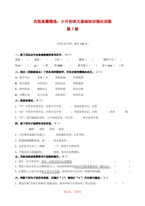 名校真题精选：小升初语文基础知识强化训练 第3期(含答案)